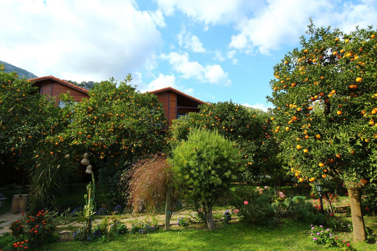 Bahce Villa Cirali Exterior photo